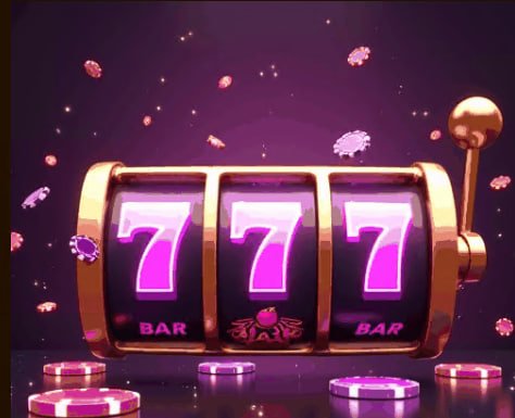 566bet