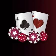 566bet