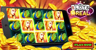 566bet